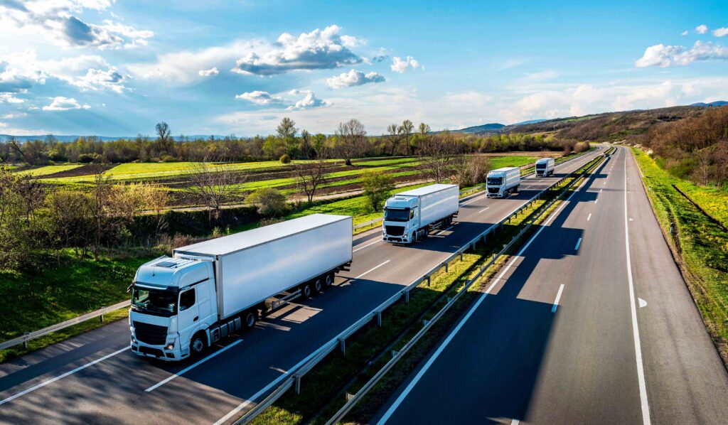 Import of food products