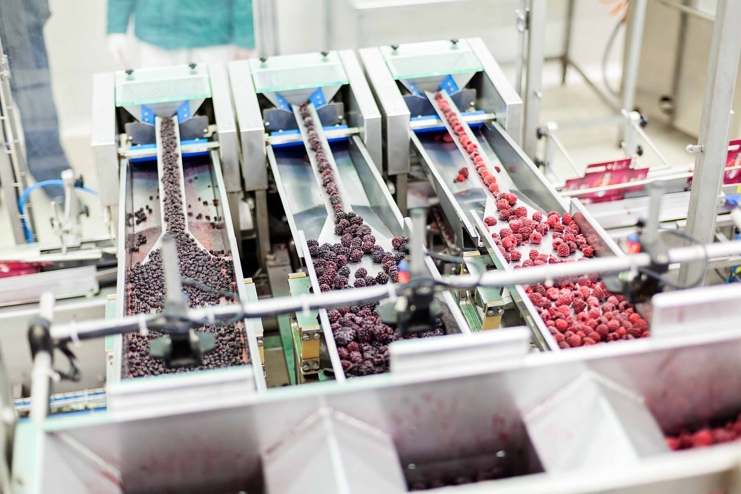 Produkty spożywcze dla zakładów przetwórstwa
